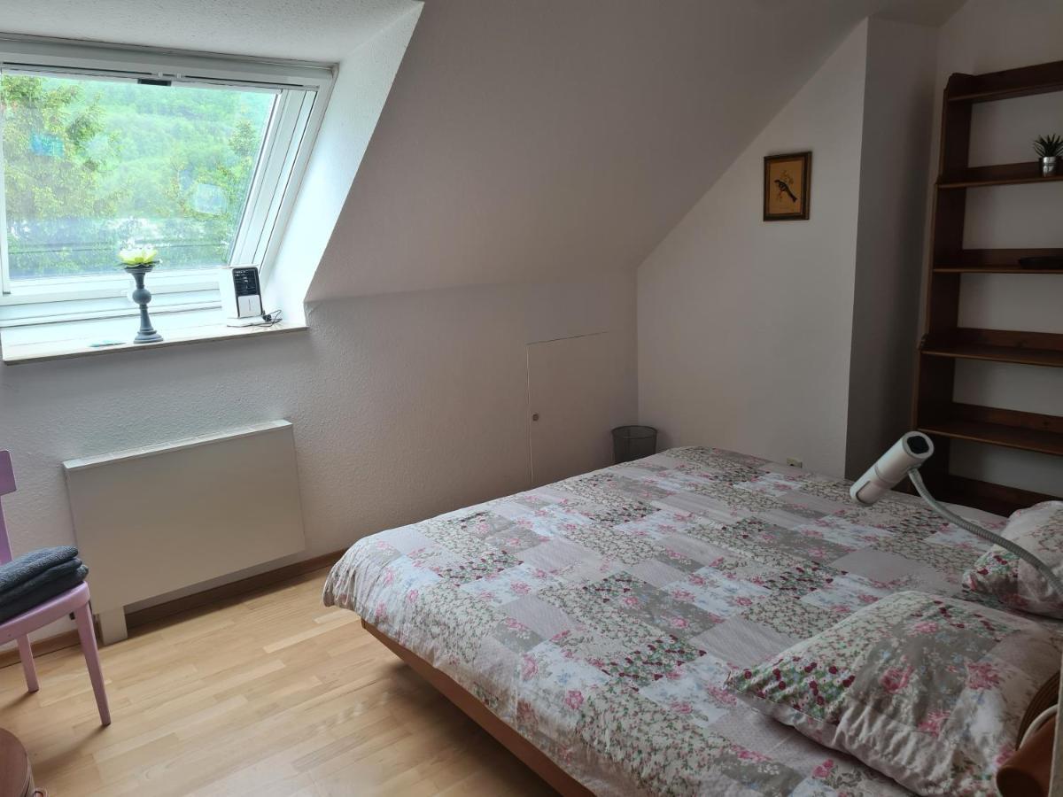 Paradiso अपार्टमेंट Busingen am Hochrhein